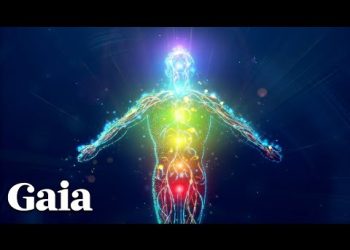 WHAT are the Soul Agreements we Make with Our Pets?