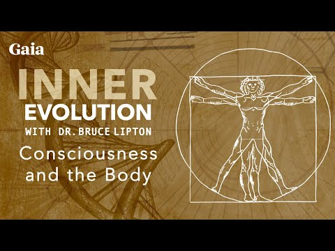 Dr. Bruce Lipton: Cell Membrane, Receptors & Environmental Signals