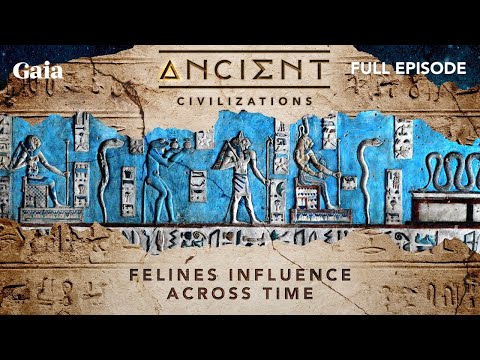 [FULL EPISODE] Felines' Influence Across Time