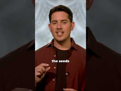 You Are Your Own God