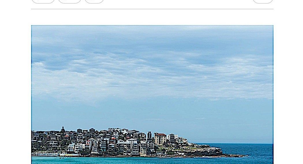 Bondi Beach: a Buddhist perspective from David Michie, author of The Dalai Lama's Cat - Buddha Weekly: Buddhist Practices, Mindfulness, Meditation