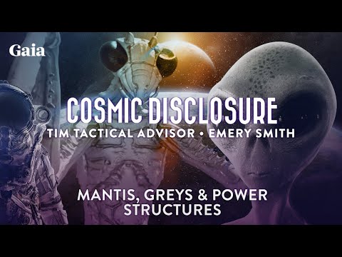Mantis ETs & Grey Aliens: Who Is In Control of the Contactees?