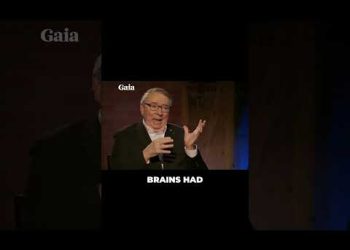 Air Force Officer Reveals Nordic ET Autopsy