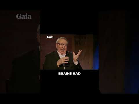 Air Force Officer Reveals Nordic ET Autopsy