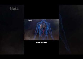 Connect Your Body to the Cosmos