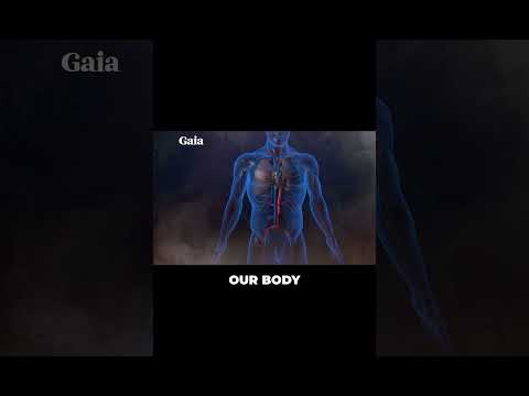 Connect Your Body to the Cosmos