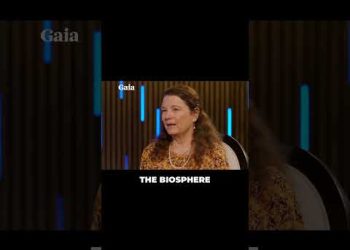 Enter Psychedelic States Without Drugs