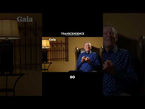 Rewire Your Mind for Bliss