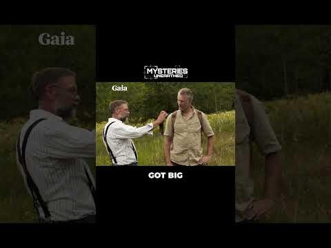 Giant Skeletons Discovered in Minnesota