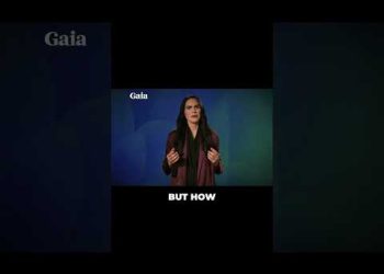 Escaping the Simulation: The Alchemical Secret of Sophia