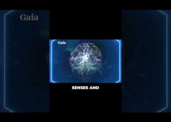 Exposing the Simulation: Change the Rules⁠