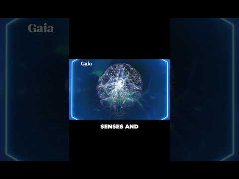 Exposing the Simulation: Change the Rules⁠