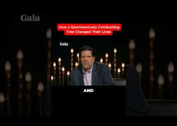 How the Bledsoe Case Redefined Quantum Reality