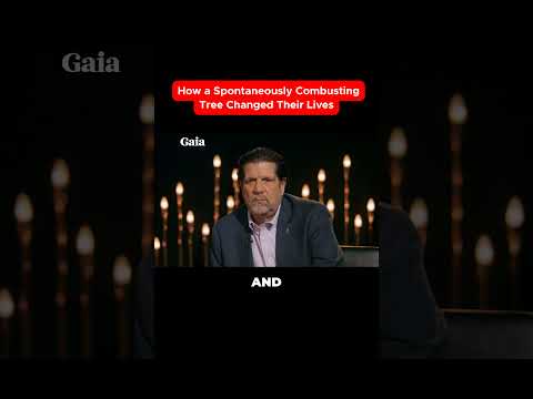 How the Bledsoe Case Redefined Quantum Reality