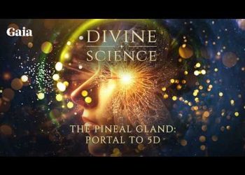 The Neuroscience of Remote Viewing: Is the Pineal Gland a Bio-Antenna