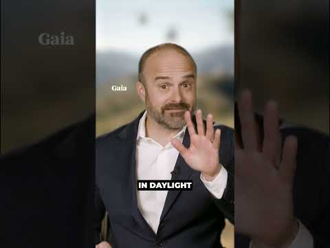 The Disclosure Drop | Why are the UFO experts vanishing?